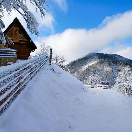 Drvene Kuce Suska - Wooden Houses Suska Zaovine Dış mekan fotoğraf