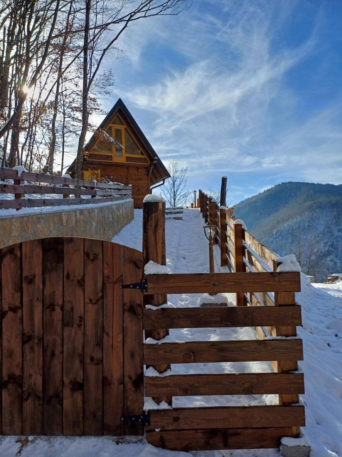 Drvene Kuce Suska - Wooden Houses Suska Zaovine Dış mekan fotoğraf
