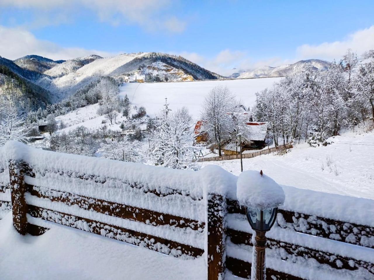 Drvene Kuce Suska - Wooden Houses Suska Zaovine Oda fotoğraf