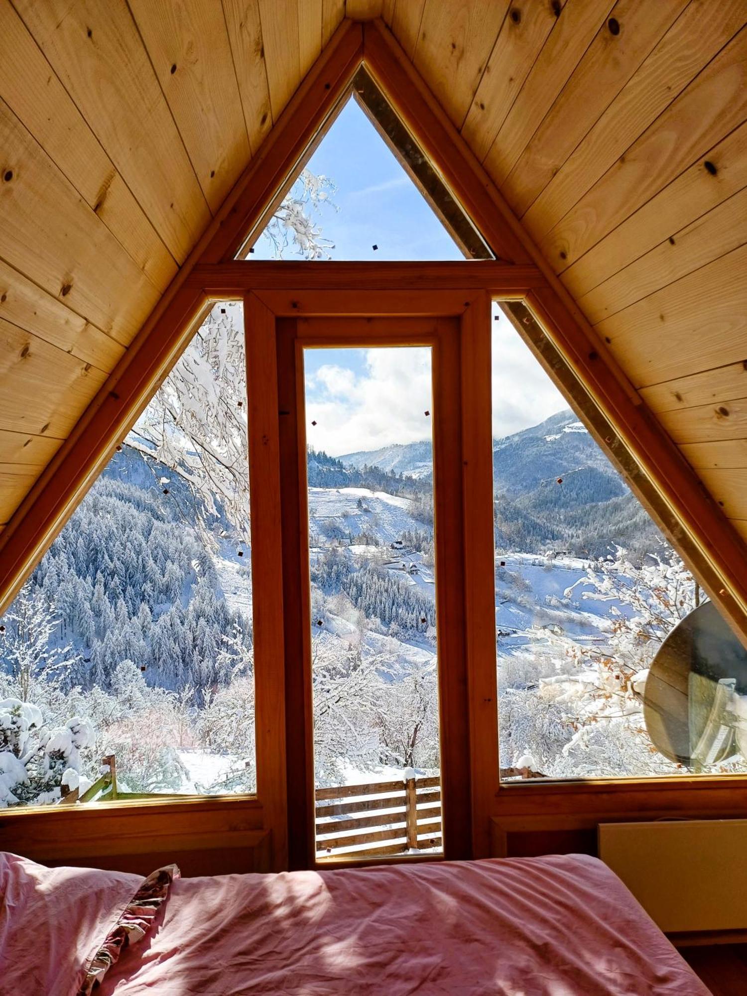 Drvene Kuce Suska - Wooden Houses Suska Zaovine Dış mekan fotoğraf