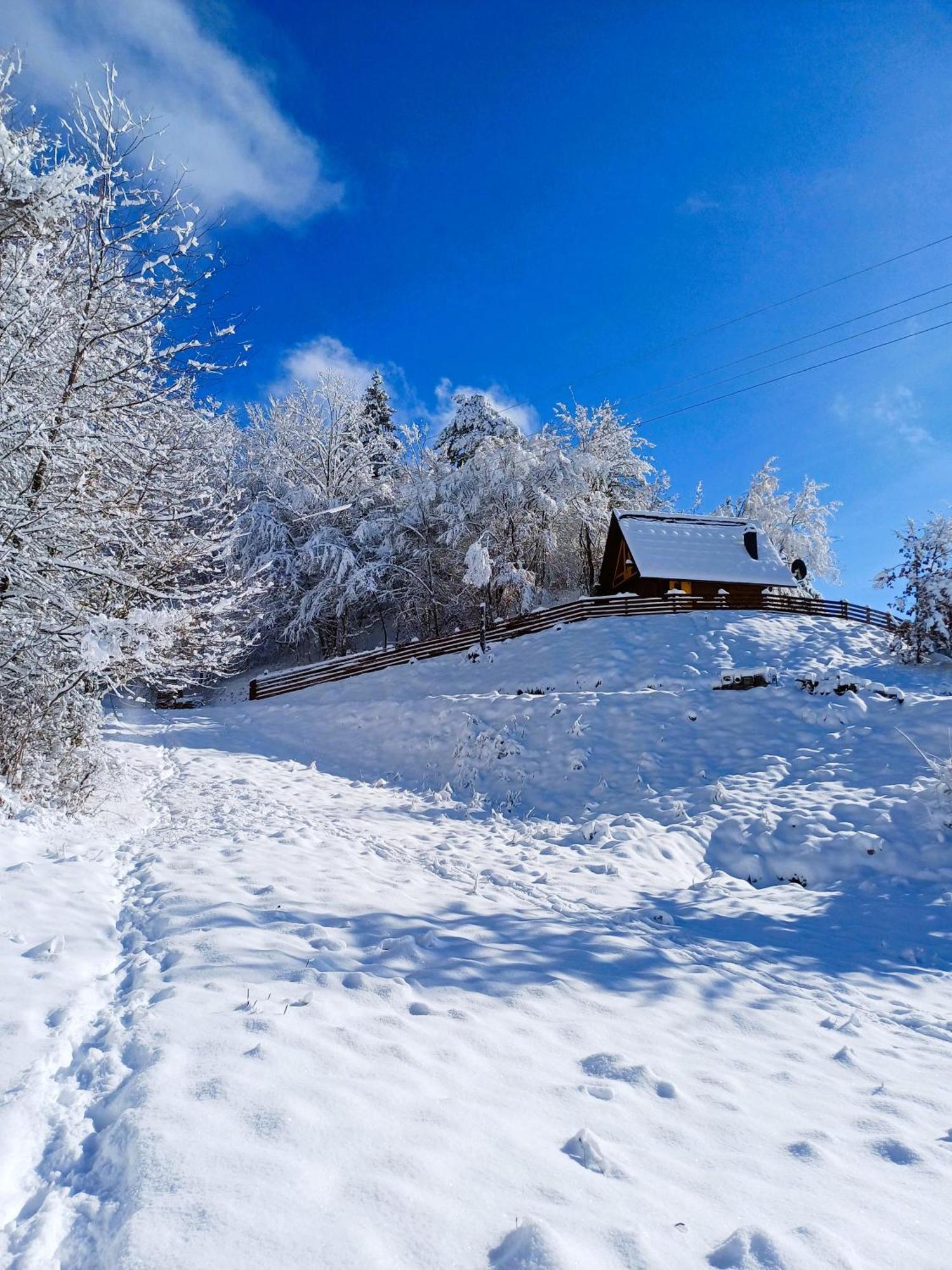 Drvene Kuce Suska - Wooden Houses Suska Zaovine Oda fotoğraf