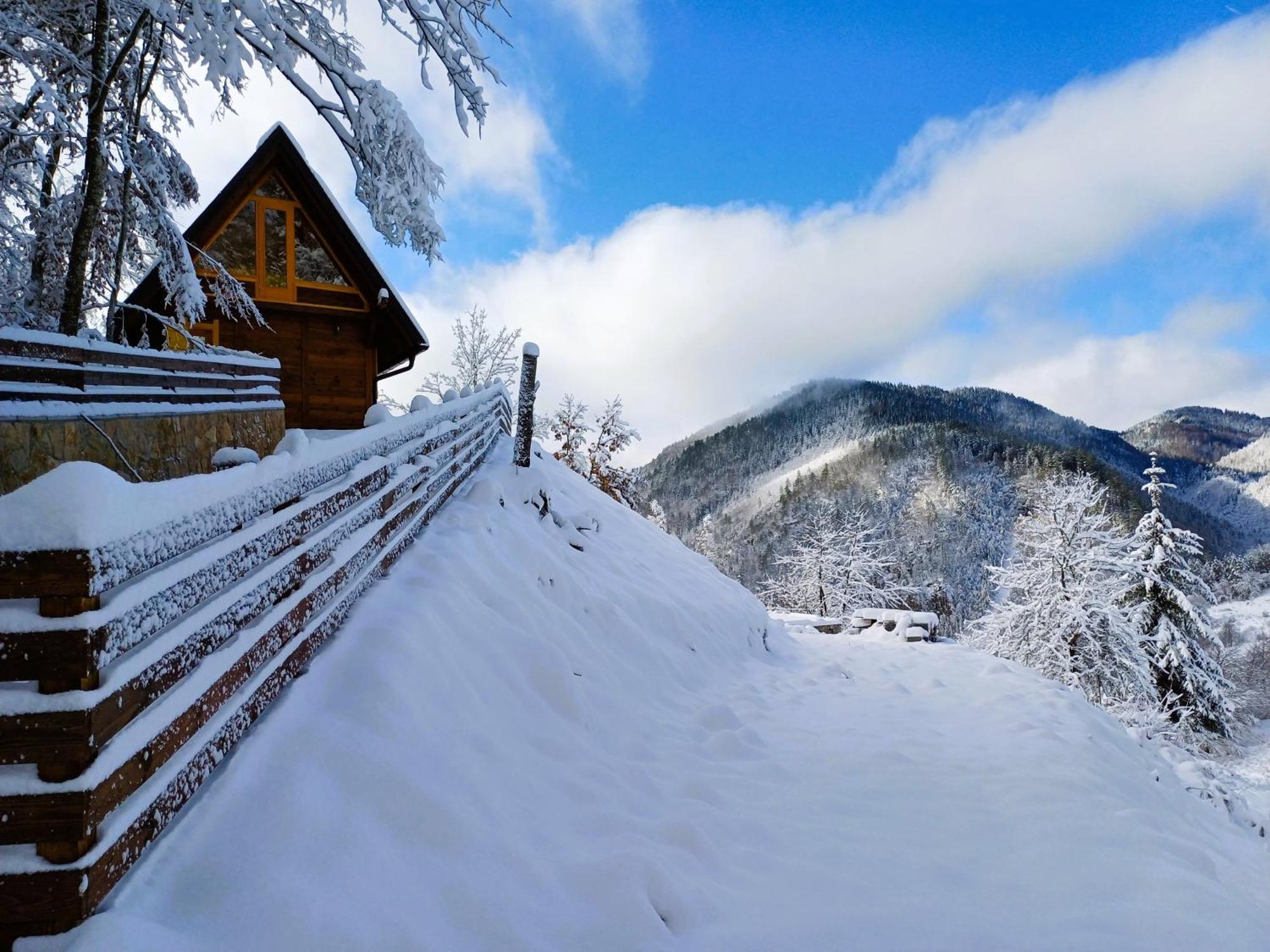Drvene Kuce Suska - Wooden Houses Suska Zaovine Dış mekan fotoğraf
